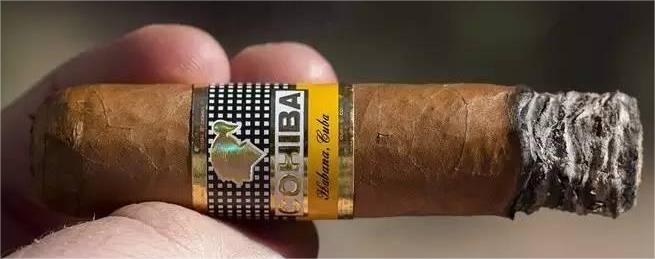 5854b406720d4421b15483def79a2b7c_th.jpg 5854b406720d4421b15483def79a2b7c_th.jpg