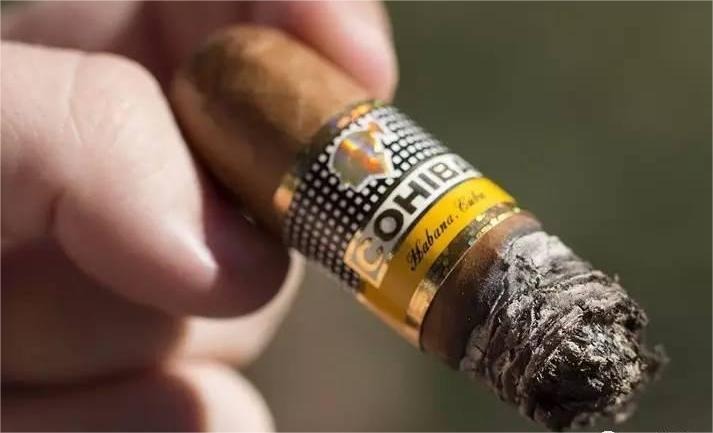 21787370495c4ea9b25f4fcc118a3f94_th.jpg 21787370495c4ea9b25f4fcc118a3f94_th.jpg