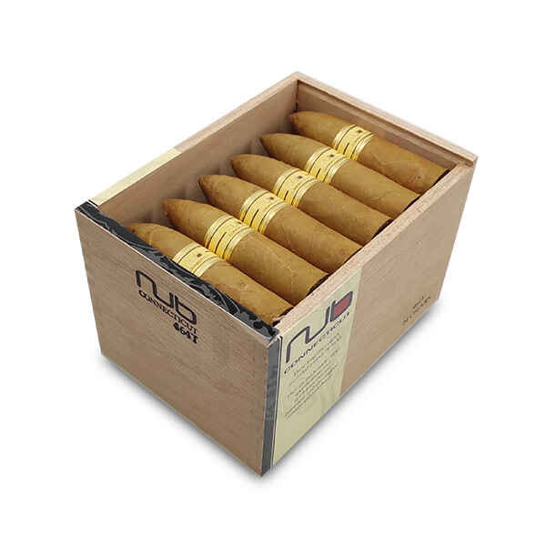 奧利瓦  康涅狄格州鱼雷 NUB 464   OLIVACONNECTICUT TORPEDO NUB 464